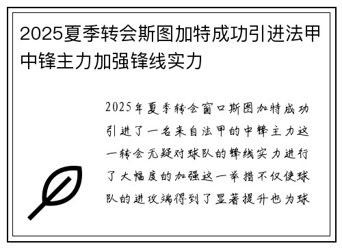 2025夏季转会斯图加特成功引进法甲中锋主力加强锋线实力