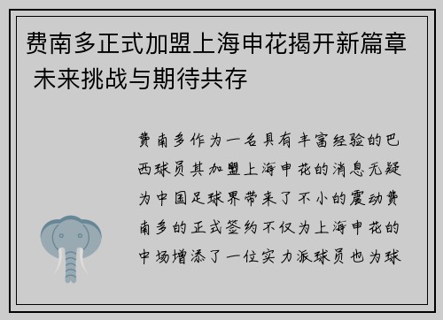 费南多正式加盟上海申花揭开新篇章 未来挑战与期待共存